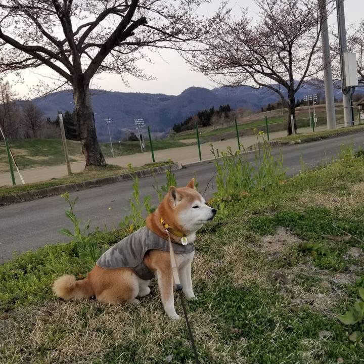 4f3fa752 b7d1 495b 9323 51d70f288d52 1680598075475