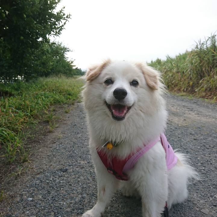 4f3fd715 ba8d 458a 94f9 5b94e947cbb9 1534713844711