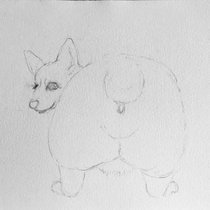 4f3feb92 10a6 487b bada 9b7ef79fc27c 1570070156867