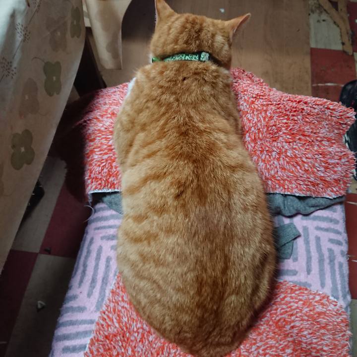 4f3fedaa 46c3 4646 a51e a38fa65bc97a 1584857478823