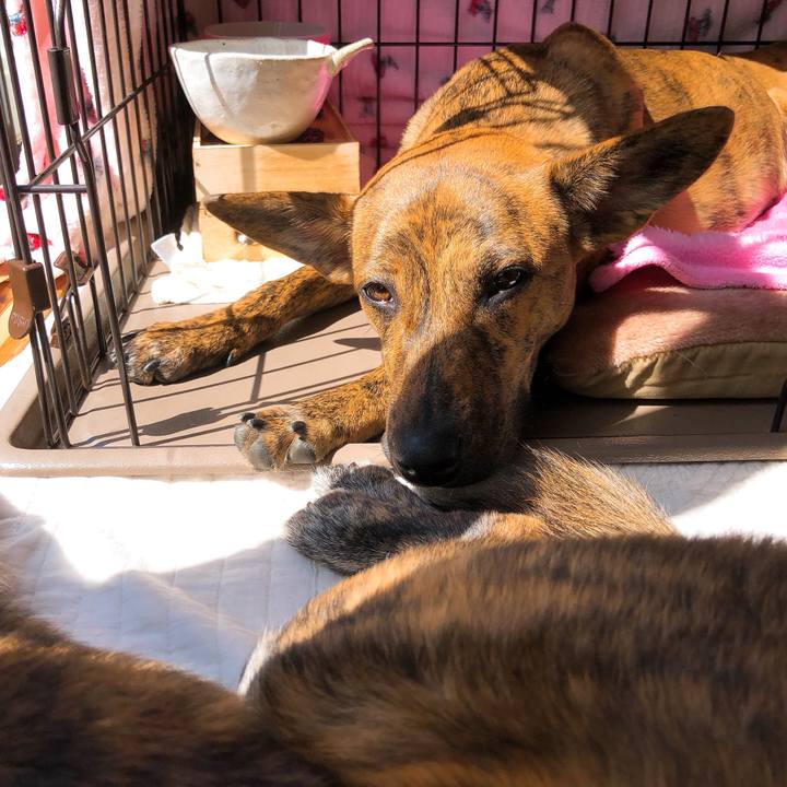 4f406ba8 3a21 441c 9533 f5511d24c49a 1583900623817