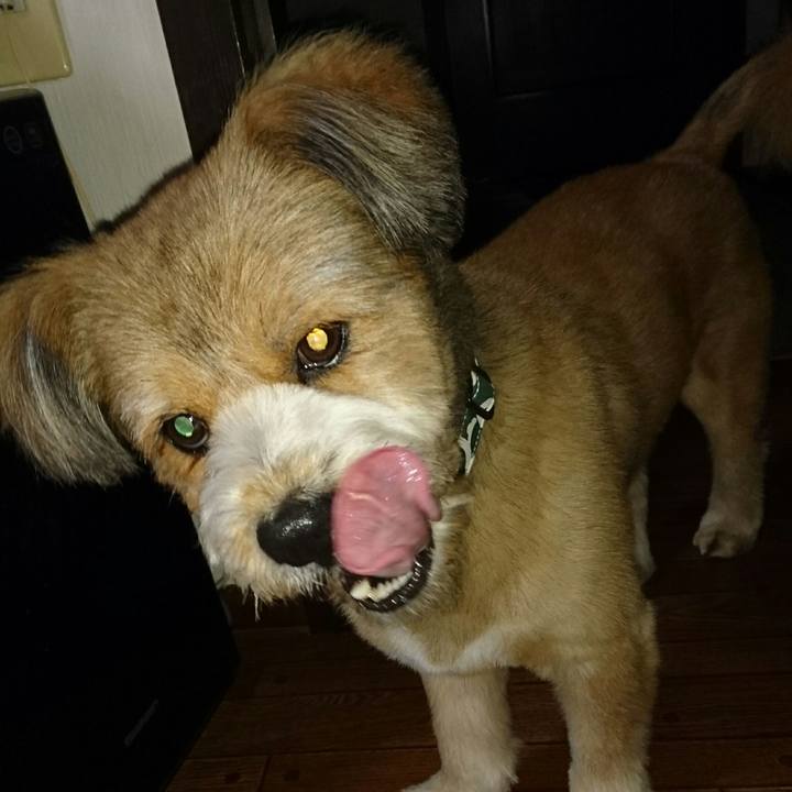 4f40c05c 6727 4d28 8be0 9487d3610ab4 1527507269843