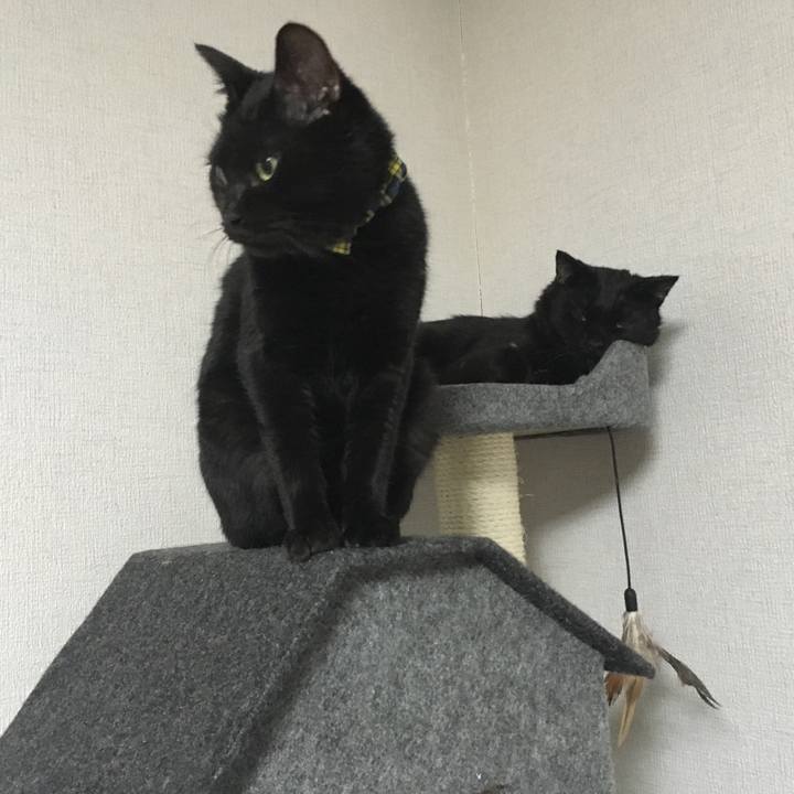 4f411907 3f1d 4bd9 b27e 312ac4ee7237 1534422854420