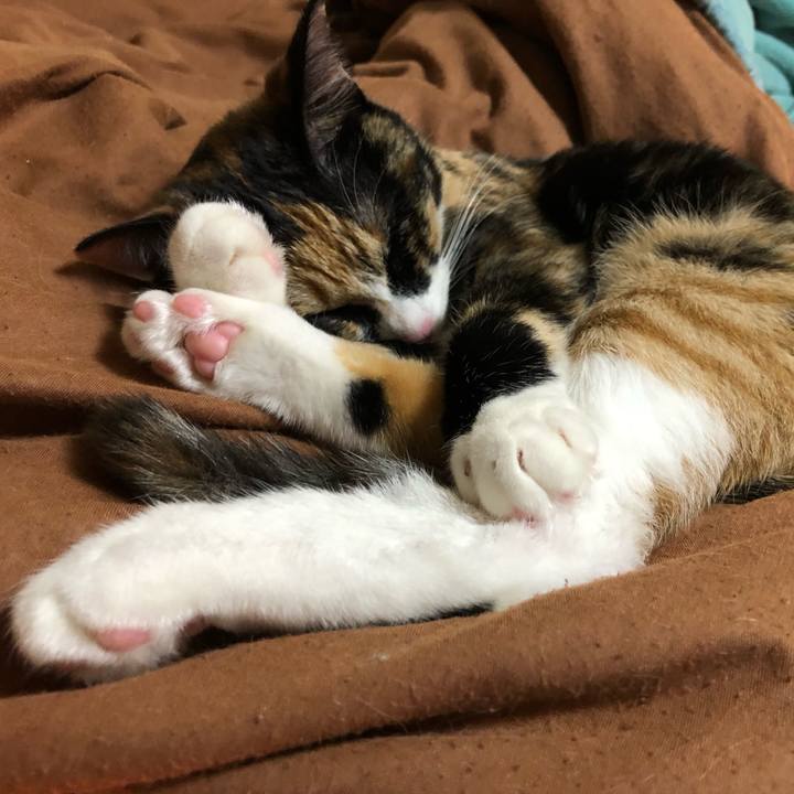 4f4119ed cda6 4267 a6f1 aac2f6965ffa 1555764478850