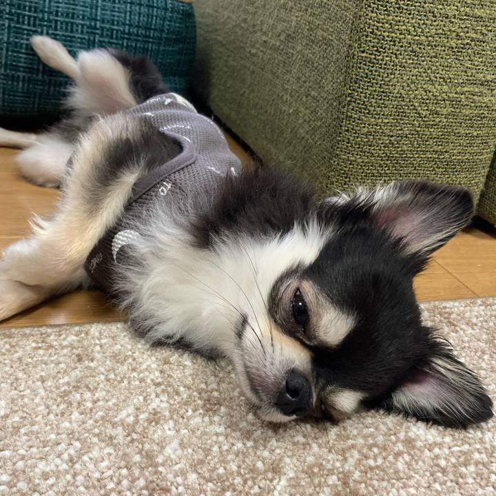 4f413681 e670 46b5 9116 6d97f8f5509e 1683992628889