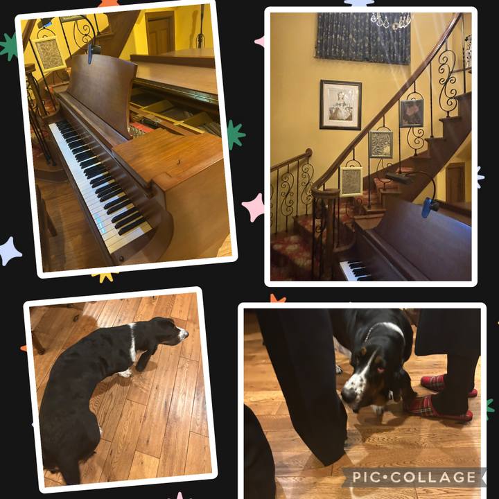 4f4157ea 0c5e 4870 a6c0 7fde9dae23d3 1766580109588