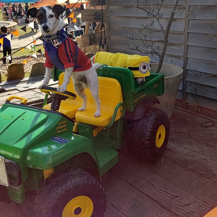 4f4159b1 d174 4753 9025 8e4f17d0bbc9 1635596953623