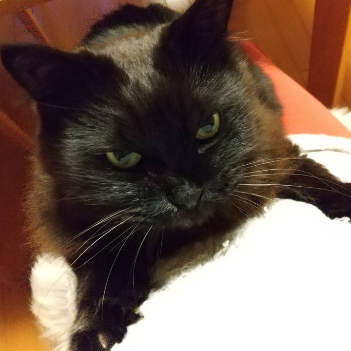 4f415c04 06c7 409d 92c0 d15aa20561c3 1614854490519