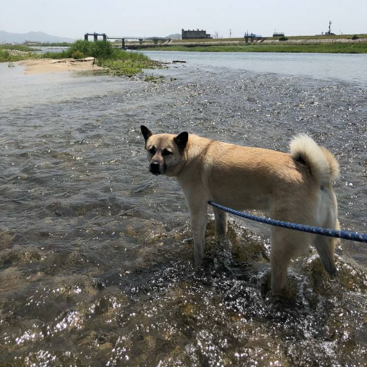 4f416937 104d 4acd 8bf1 58bb9ad1853b 1620560245785