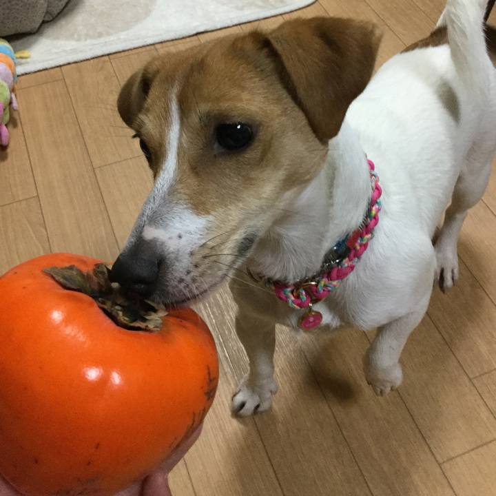 4f416eb6 7b82 42e3 ba92 447f99e6ced8 1511602638733