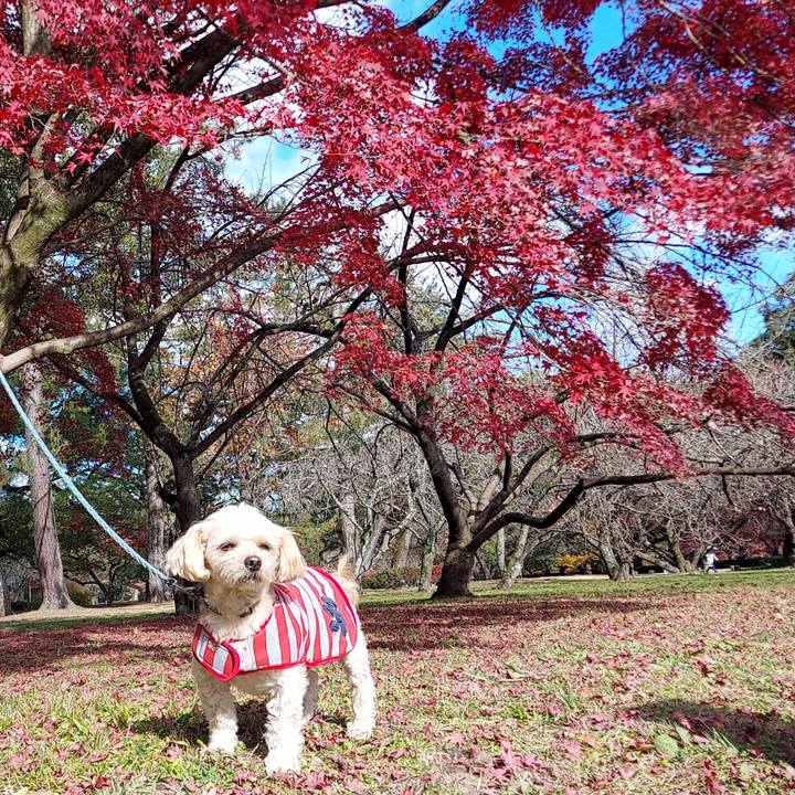 4f418b0a e7b8 4274 afbe 8eef4a7763fa 1638075958118