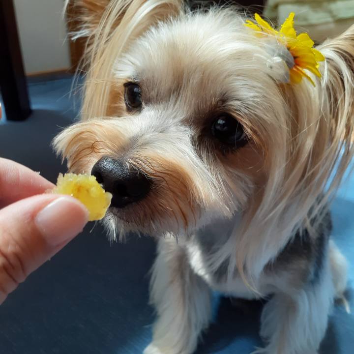 4f41d7e5 4b82 4924 bc88 194ee260e57c 1660097777913