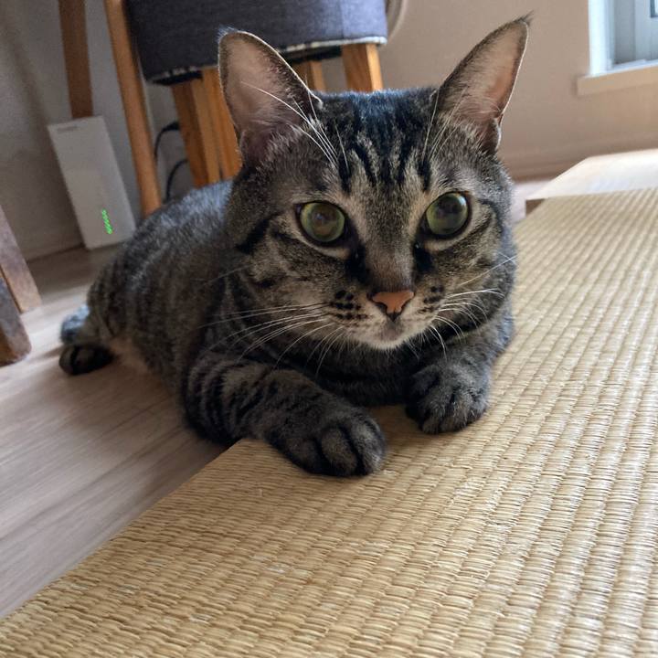 4f421ead d149 4b72 a9ad 35b85cbe2066 1595718041474