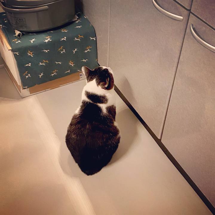 4f422287 a31f 40cc 9061 b39c7f14d5bd 1583948118379