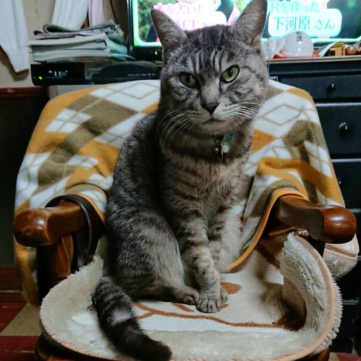 4f42565f e9b1 4c17 84cb eef4357cafd2 1551873133047