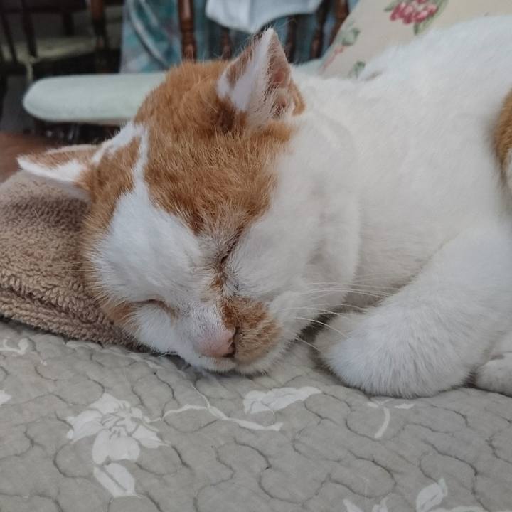 4f425d2a 46d0 4744 96a0 b8e4d9795933 1566169765801