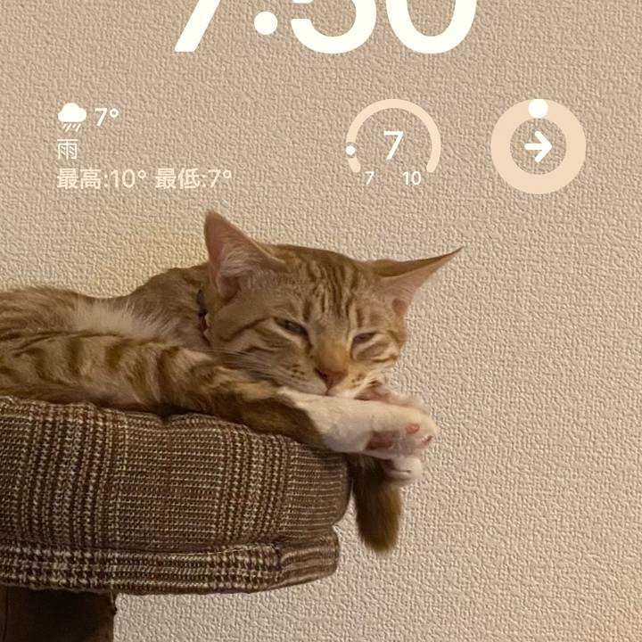 4f4265a2 7b4a 42a4 9d8a b39ab48b20a7 1679093467619