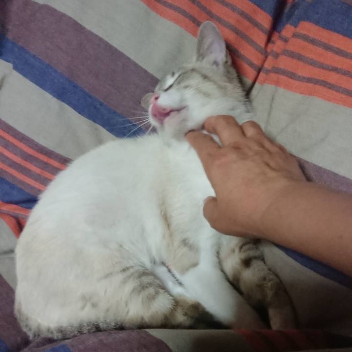 4f42b80c 9bb4 43b9 8da1 d4a0c52d9d46 1527169135282