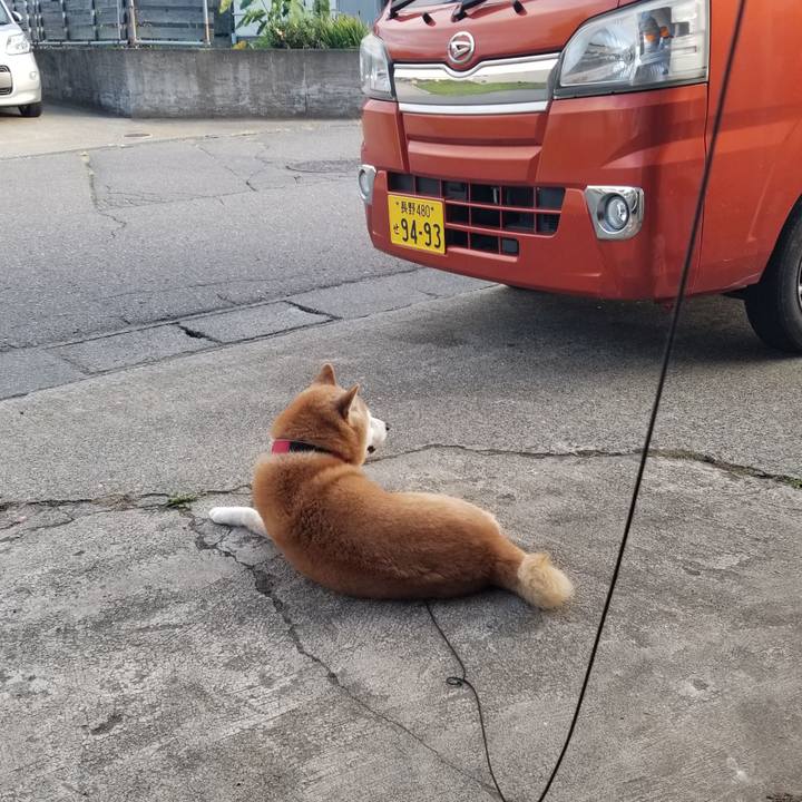 4f42c527 b4db 4f98 94a4 2e195107ec2a 1729838985068