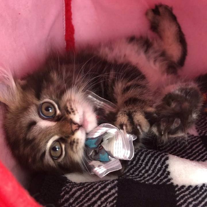 4f431469 4040 42dc 854a c2cc1d2e1f1f 1566887033384