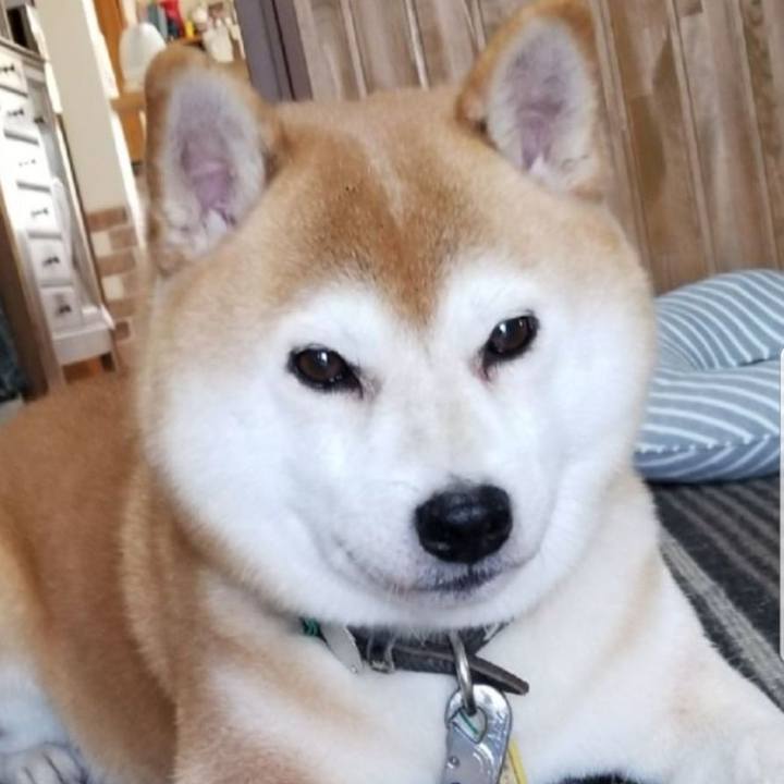 4f435a00 fc44 47b9 a64d cb8e519ba203 1601351861993