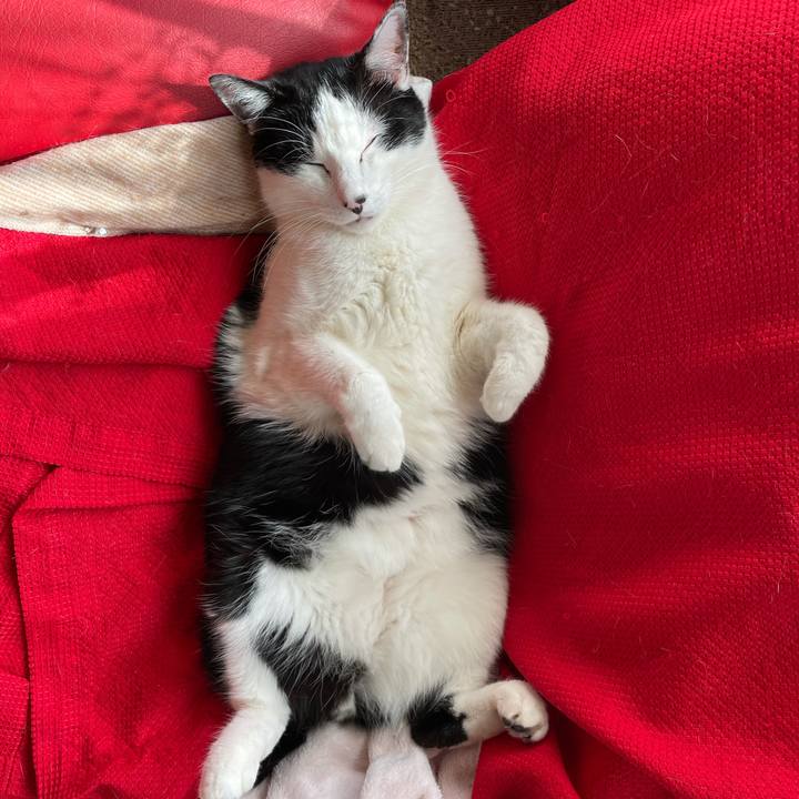 4f435e5e 9e80 4f88 9086 00be448854b1 1616564443094