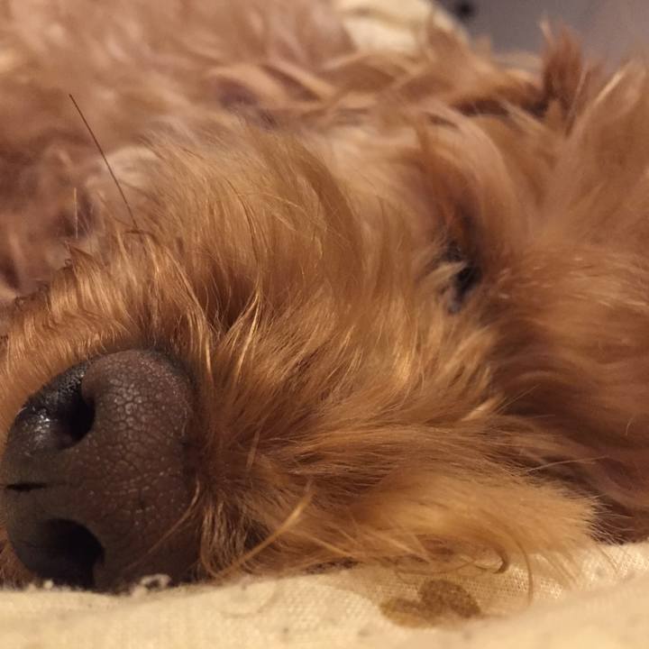 4f435fe2 1b2c 4cad 8854 5af2aca9b4e2 1523624154165