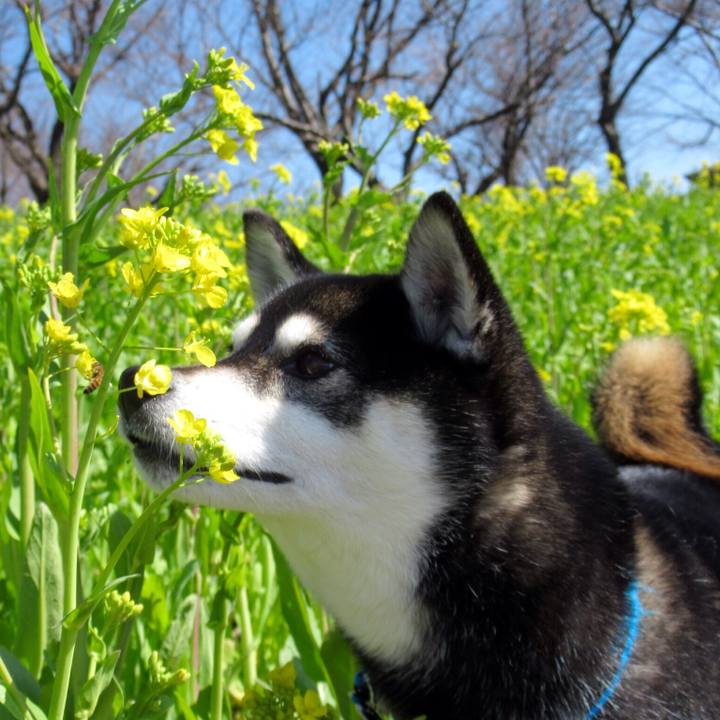 4f4360d9 6805 4f5d b962 18f37fb1e3e5 1584235861970