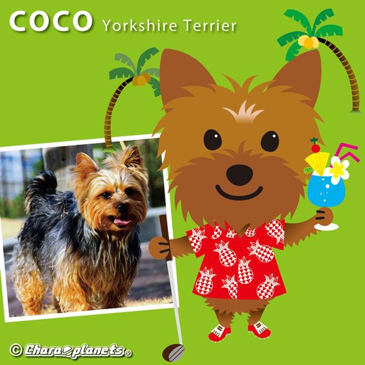 4f4369e3 4f25 4c48 b55c e34c73188329 1559522795567