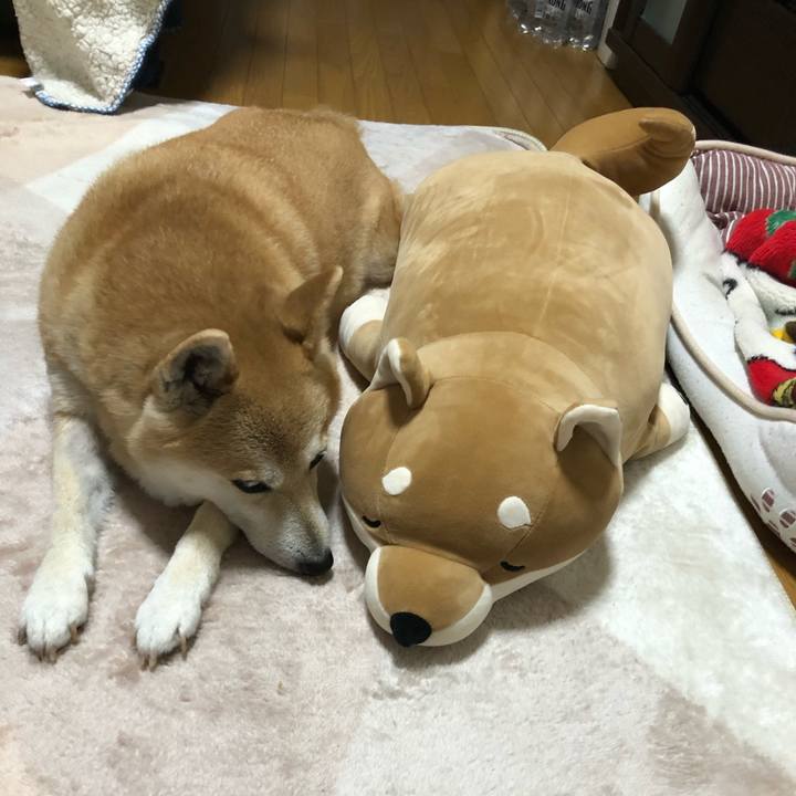 4f437f12 2d22 4292 9346 eb6c7ce237e4 1581854299171