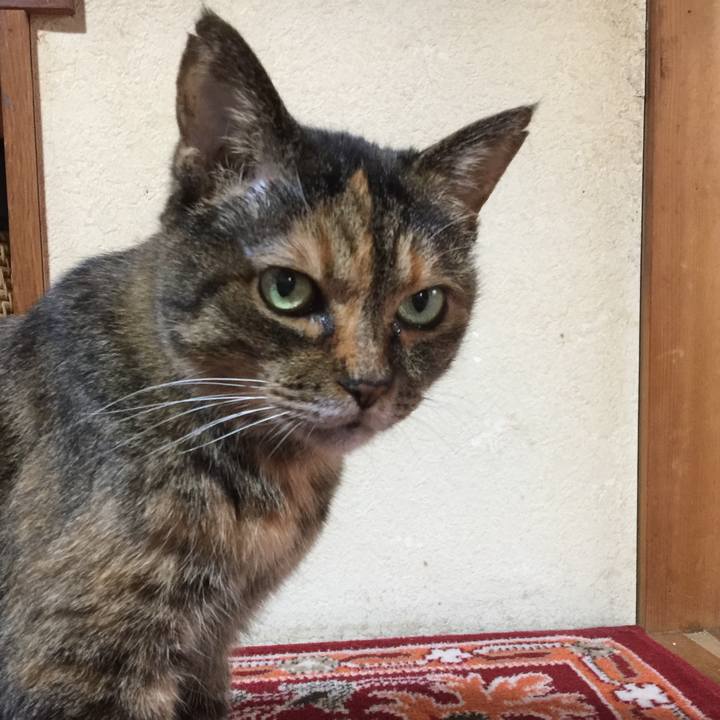 4f43a5ae 4484 48e4 a911 c708db249214 1553152508113