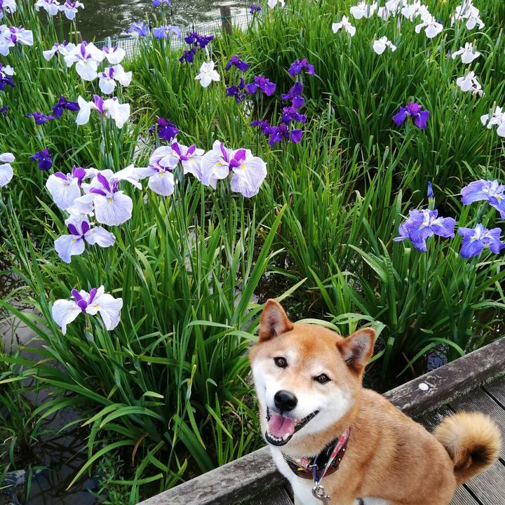 4f43b54f 5520 4e55 a037 453a65b7b5a3 1622975241348