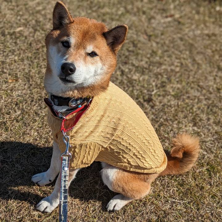 4f43d7eb 767f 4d13 8237 b0cf3d2245ae 1704641621767