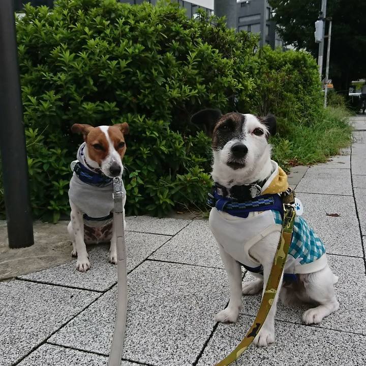 4f43e164 2941 4ed4 805b e652181e6c6a 1535923982220