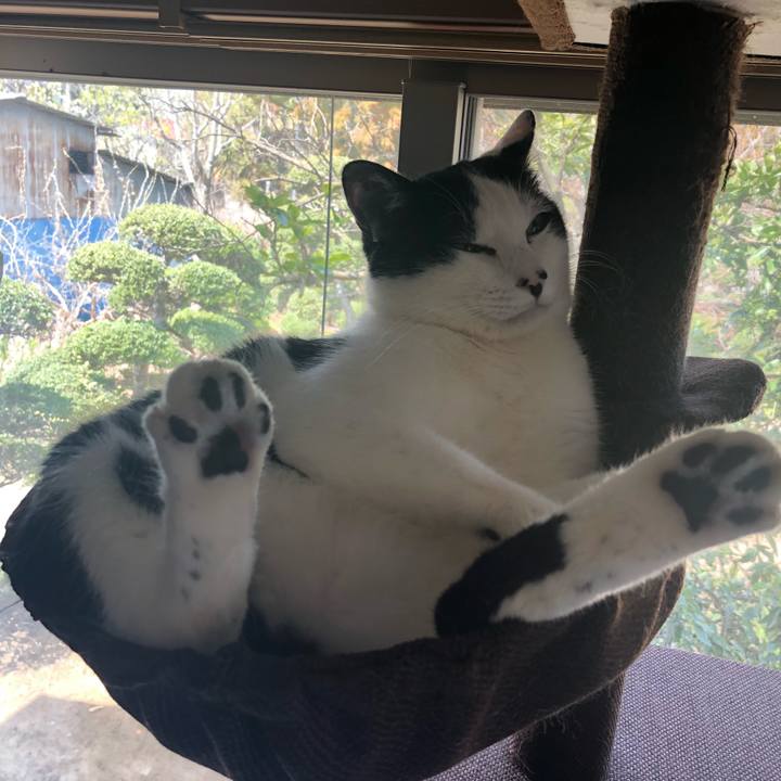 4f4402e8 aae5 44f6 803d 0c64e9e76d79 1554464280559