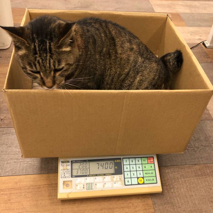 4f447eed ada5 4d02 8659 7dac84c43ade 1610255847908