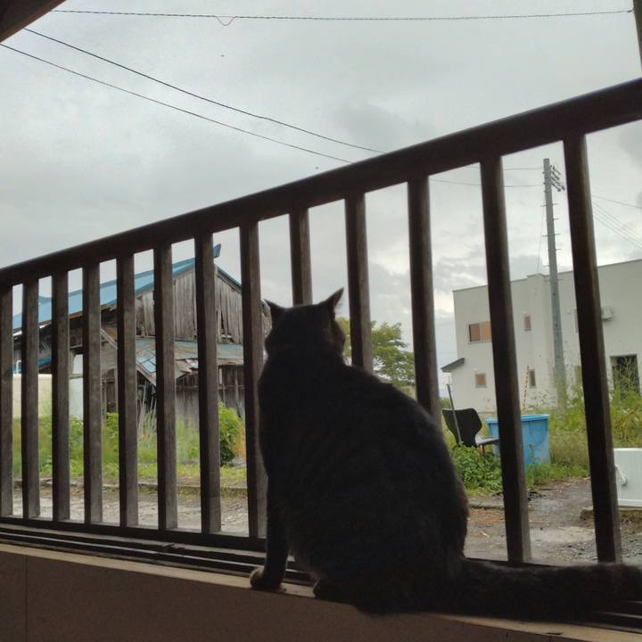 4f448ad1 d914 4fed 8986 76e17d10f54e 1663623435252