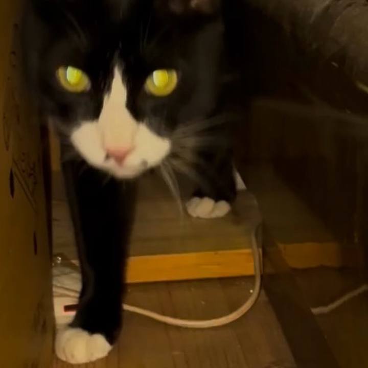 4f44a0b0 f1af 444e ab7b 0f373aa20fbd 1759399533071