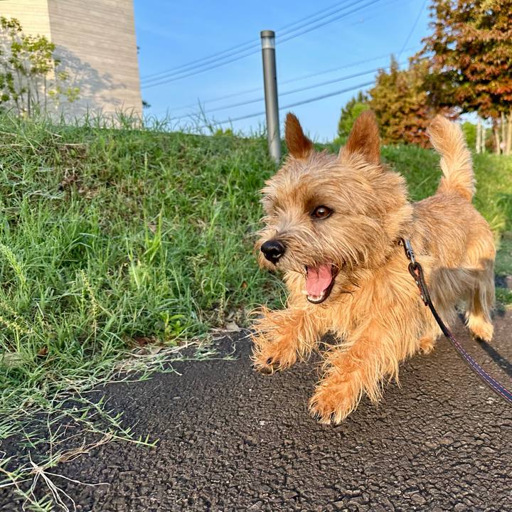 4f44a866 cd81 41cd a039 fee6013634a8 1747273158787