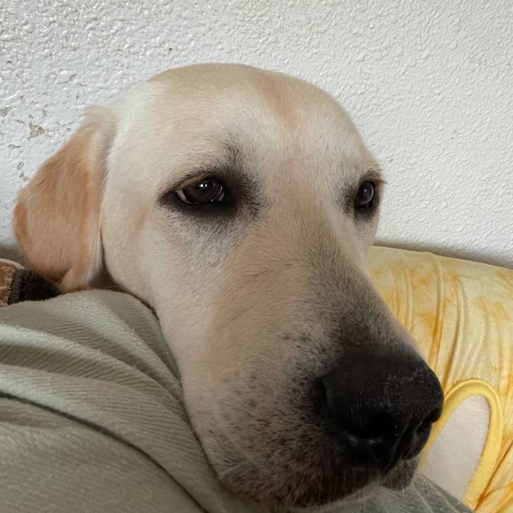 4f44b59e 349a 4441 a70b 8af51f99c9a6 1624605130210