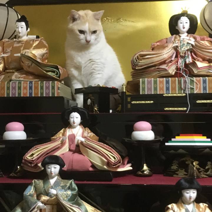 4f44e92c 6ee0 480a 82e1 55d742073141 1516682197797