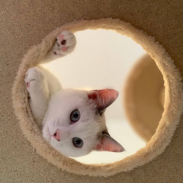 4f44ea74 961b 42d7 b3be 597df214f867 1546570288933