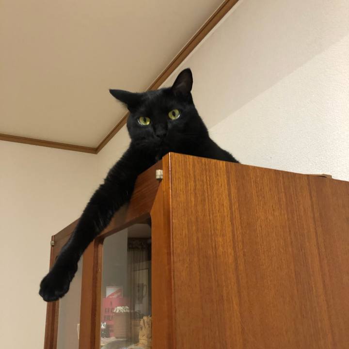 4f450d18 464b 40ab 9088 227ddc974f50 1560682816960