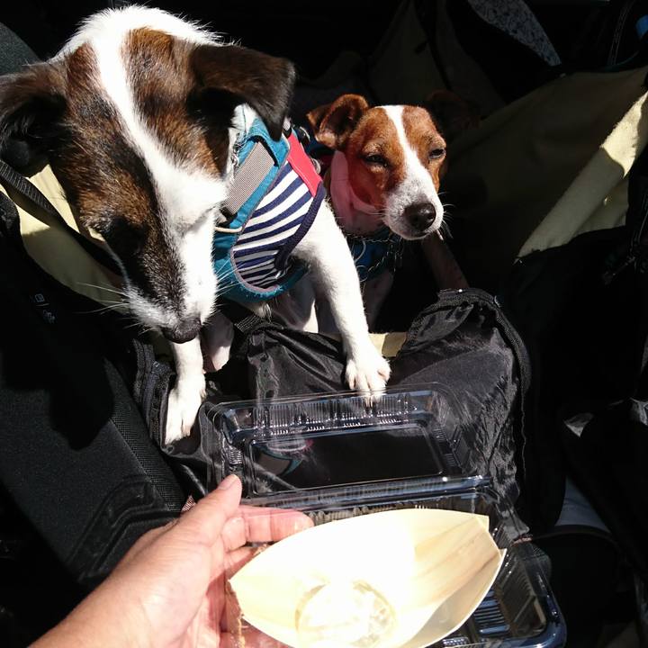 4f452412 8965 41bb ae8c ca1168b84601 1600736215050