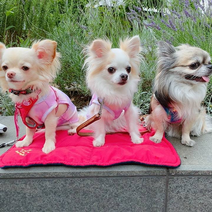 4f45340a c058 4d65 aa0d a7f750d80e05 1623840714487