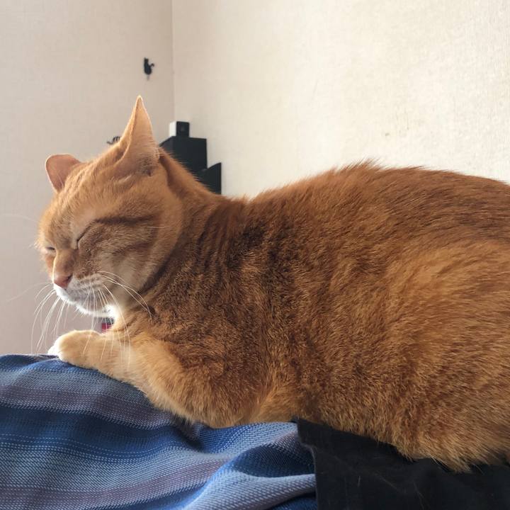 4f459eb1 4154 40d7 ab03 d7dc410ba0ca 1738986137346