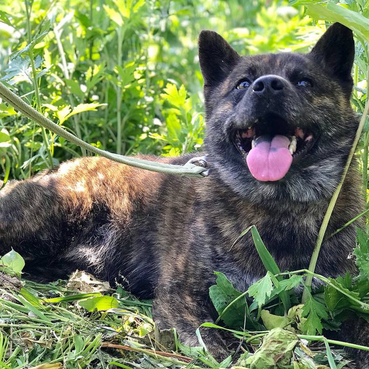 4f45b9d7 0877 453a 8d35 6f9b10cb76ec 1528006066722