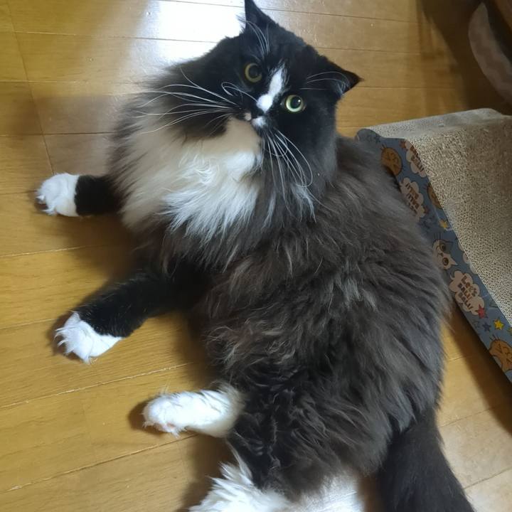 4f45e366 83d9 487d 8ffb 52dc4aeee9a6 1759542346220