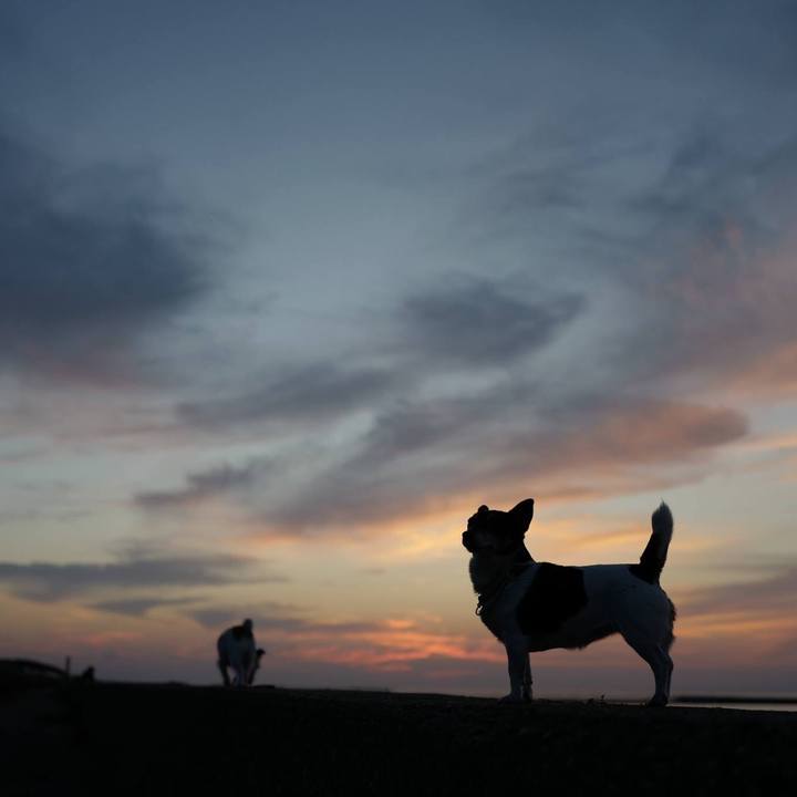 4f45ea96 e394 45ad bb50 0f382feed95e 1510114447534