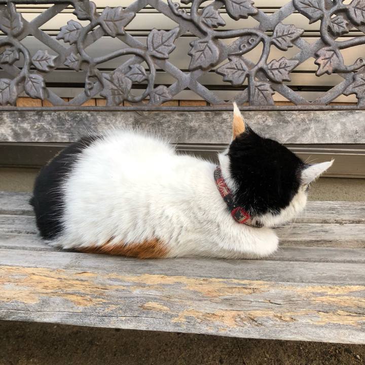 4f460b93 2742 403f ad0d 706be75b9db1 1614118627762